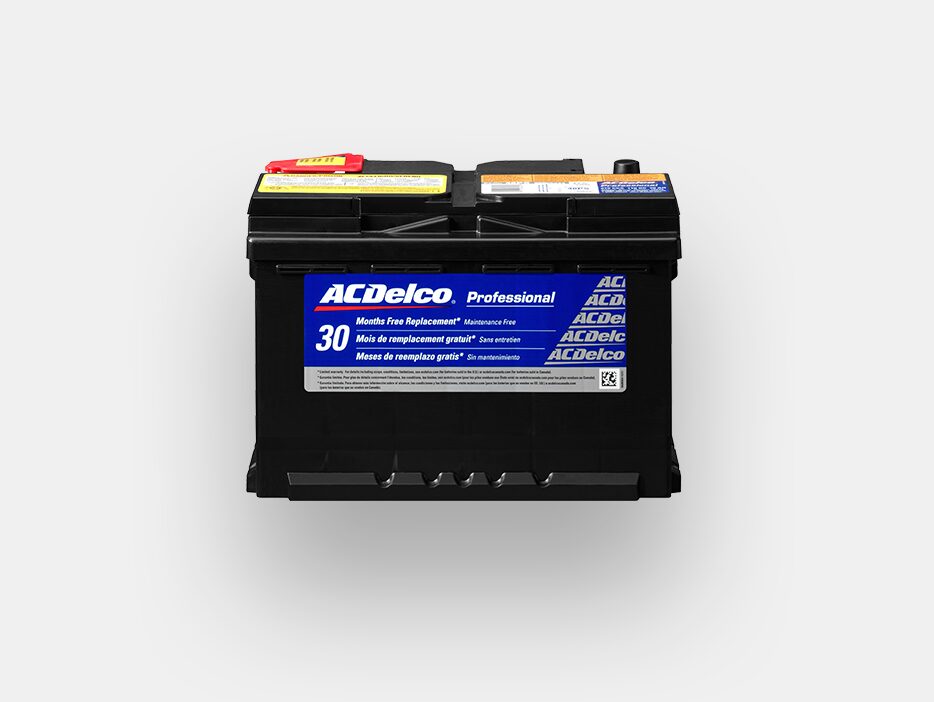 Ac Delco Battery Rebate