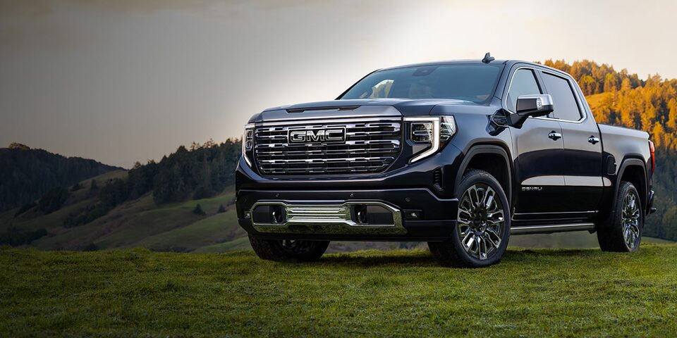 The GMC Sierra LD Denali Ultimate Parked Off-Road on Grass