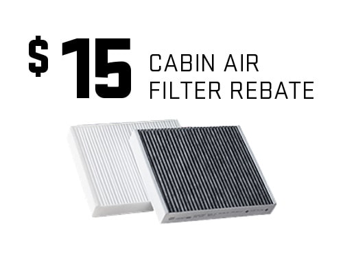 Two White Cabin Air Filters for Show
