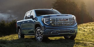 The GMC Sierra 1500 Full-Size Truck Parked in a Green Valley