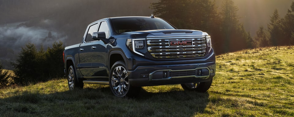 The Pacific Blue Sierra Denali Parked in an Open Grassland
