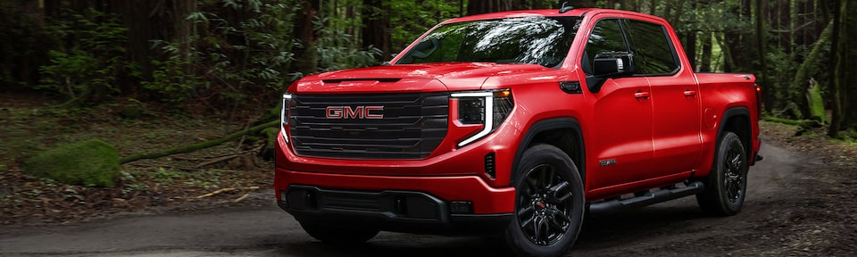 The GMC Sierra Stopped in a Dense Woodland Trail