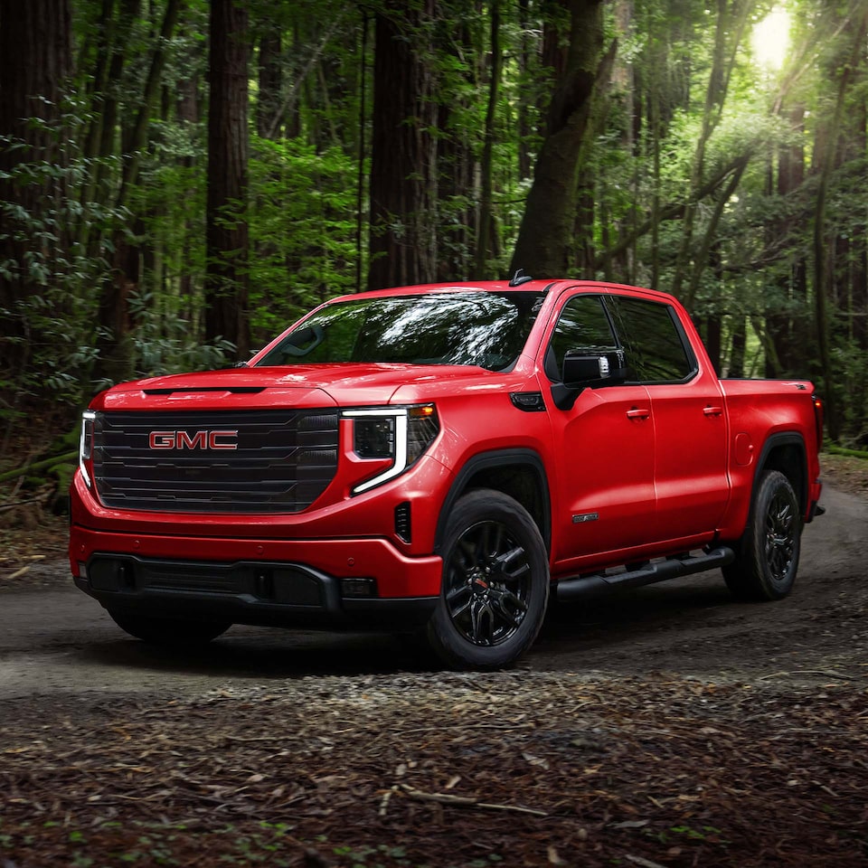 A Red GMC Sierra LD Parked Off-Road in a Forest