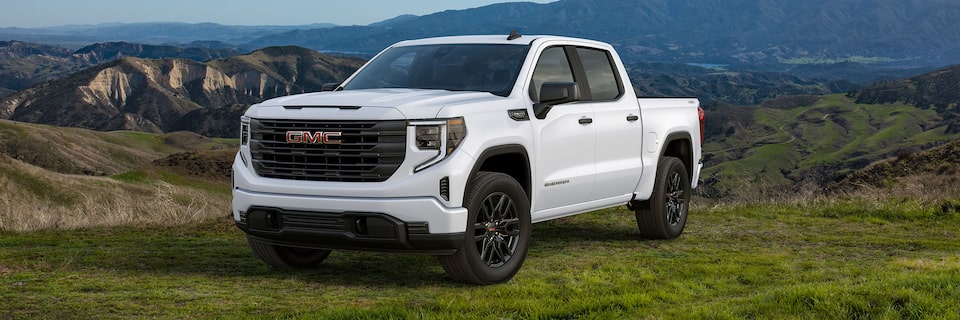 The GMC Sierra LD SLE Parked Off-Road