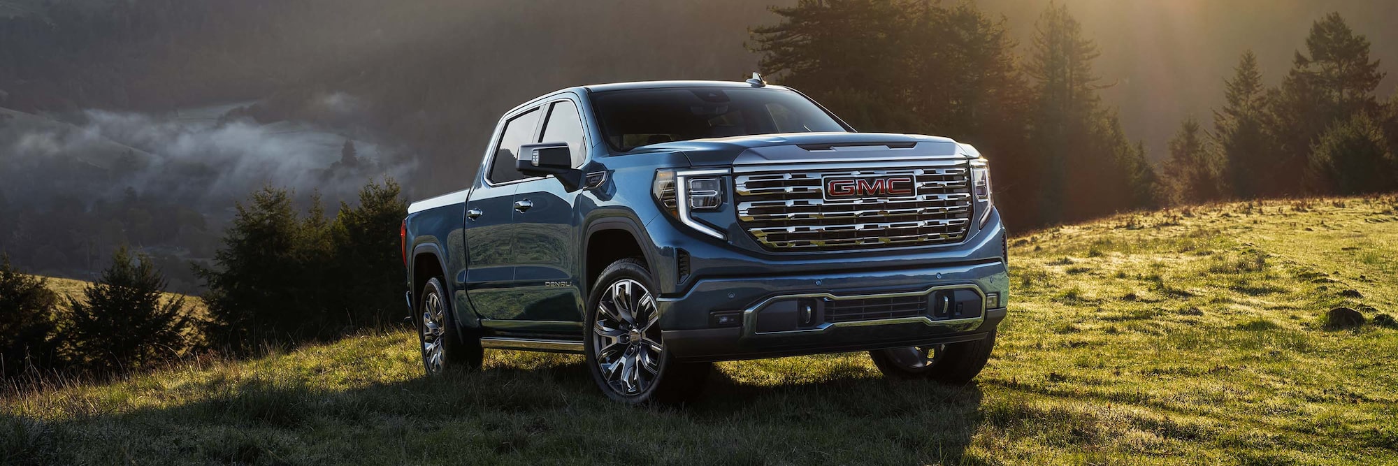 Blue 2025 GMC Sierra 1500 Denali parked on grassy hill