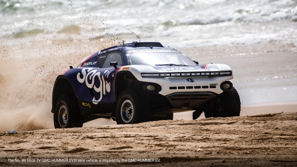 A DAY AT THE BEACH TURNED INTO AN ELECTRIFYING BATTLE