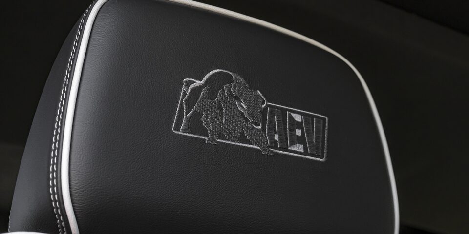 EXCLUSIVE AEV EDITION DESIGN ELEMENTS